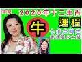 權朗2020年鼠年十二生肖牛的流年運程2020生肖運程2020鼠年十二生肖運勢
 2020年運程 2020鼠年運程 2020生肖運勢 2020鼠年運勢 2020鼠年12生肖運程 2020鼠年十二生肖