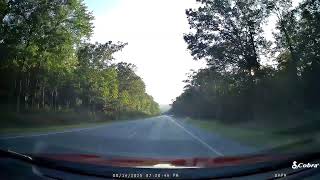 Deer Hit   What is Love