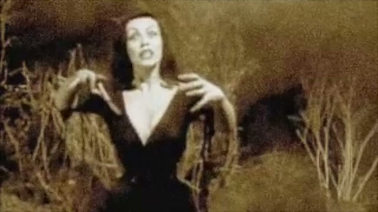 Shawn Mars “Damn The Daylight”