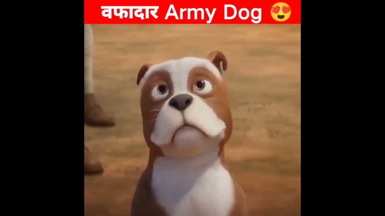 wafadar Army dog # viral short video  # Khan digital Seva