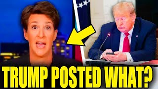 Trump Post 3AM Meltdown As Maddow EXPOSES Term ENDING BLOW!