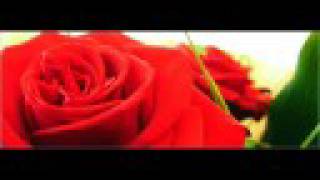 Behrang - Weine Nicht Mein Schatz