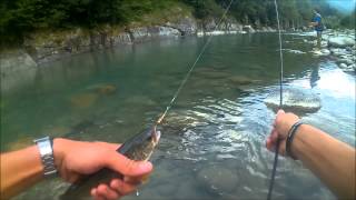 Sesia, Luglio 2015 Trote A Spinning