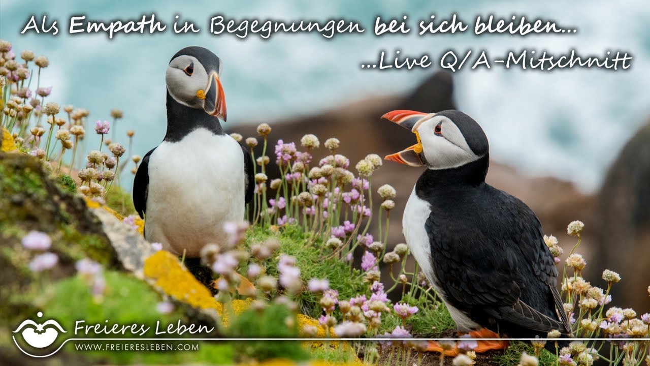 Als Empath in Begegnungen bei sich bleiben - Mitschnitt einer Live Q/A-Session