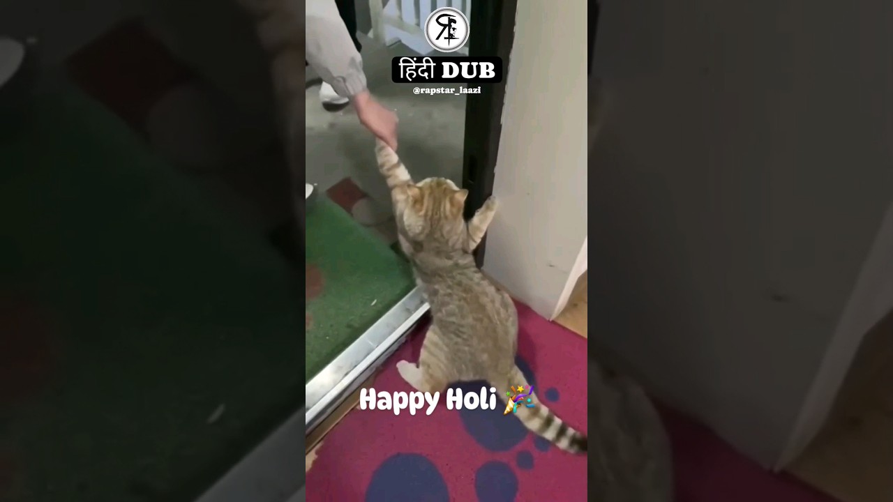 हिंदी DUB - Holi Vibes 🤣😂 