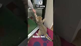  Dub  Holi Vibes  shorts holi happyholi festival dubbing hindi trending cute love