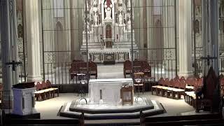 Wednesday of the Tenth Week in Ordinary Time Mass (Presider: Fr. Lannon, SJ) 06/10/2026