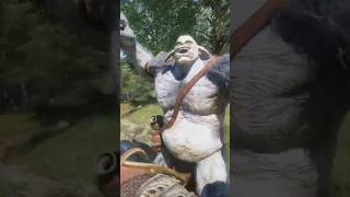 Forest Encounters