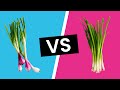 Spring Onion vs. Green Onions - What's the Difference?