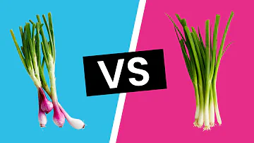 Are leeks and spring onions the same thing?