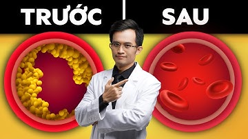 Bữa Ăn Tốt Nhất Để Làm Sạch Mạch Máu Của Bạn | Bác Sĩ Hải