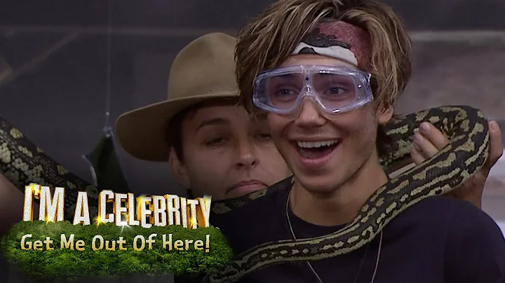 George Shelley Rips Open Pig's Balls In Bushtucker...