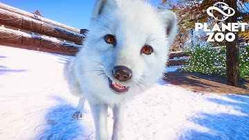 Making an Arctic Fox Habitat in a Festive Winter Zoo