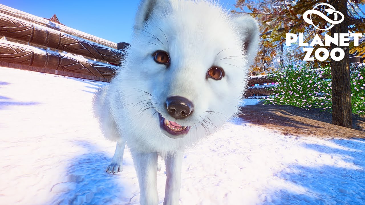 Making an Arctic Fox Habitat in a Festive Winter Zoo - YouTube