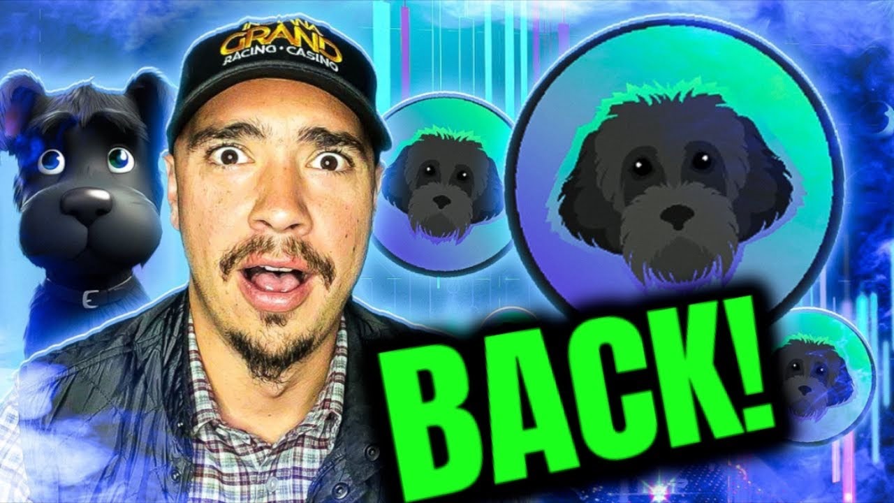 Latest Updates On Myro Coin News And Market Analysis