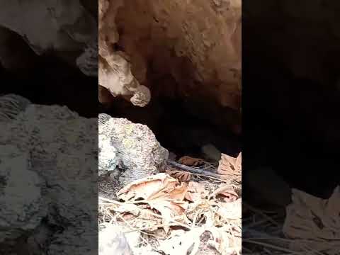 محل هدیه باز شده مقبره خانوادگی اشکانی زیر خود نماد گنج دفینه زیرخاکی طلسم نماد سنگ تله قبر