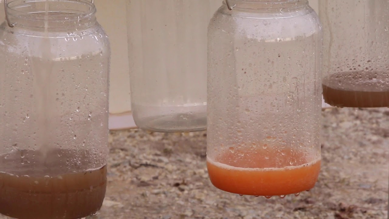 Water Quality YouTube