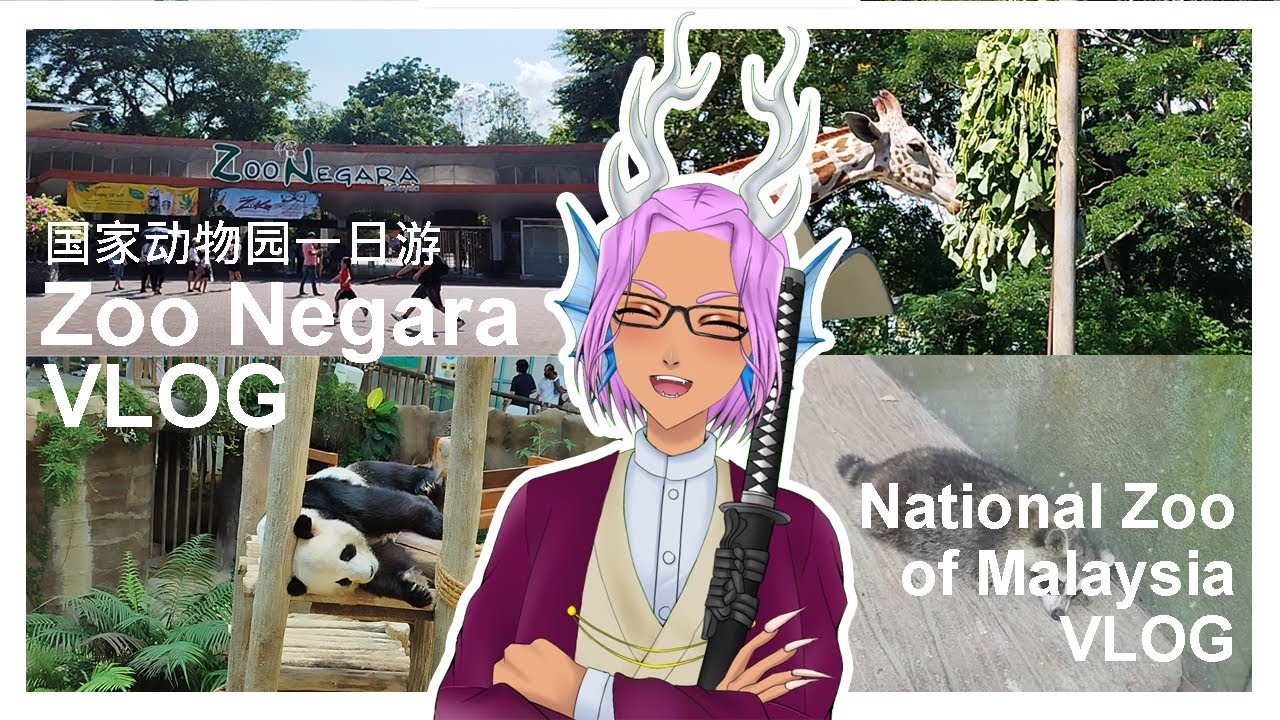 (VLOG) 游览马来西亚国家动物园！Trip to Zoo Negara, National Zoo of Malaysia!【Ah Ying 阿盈 | 马来西亚vtuber #myvt 】 | MYViki