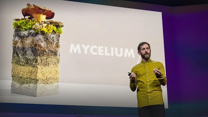 The Future of Fashion  Made from Mushrooms | Dan Widmaier | TED