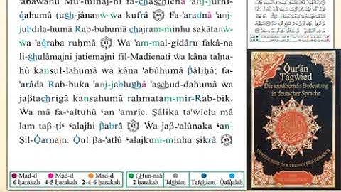 ختمة من مصحف التجويد باللغة الألمانية الصفحة رقم 302