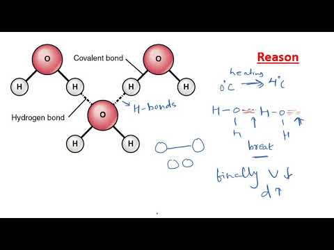 Video: Checking Information About The Anomalous Zone In The Medynsky Area - Alternative View