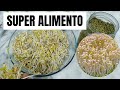 Super Alimento Oriental, Aprenda a produzir em casa! Passo a Passo!