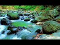 Pure River Soundscape 🌊 Calm Water Audio for Stress Relief & Relaxation
