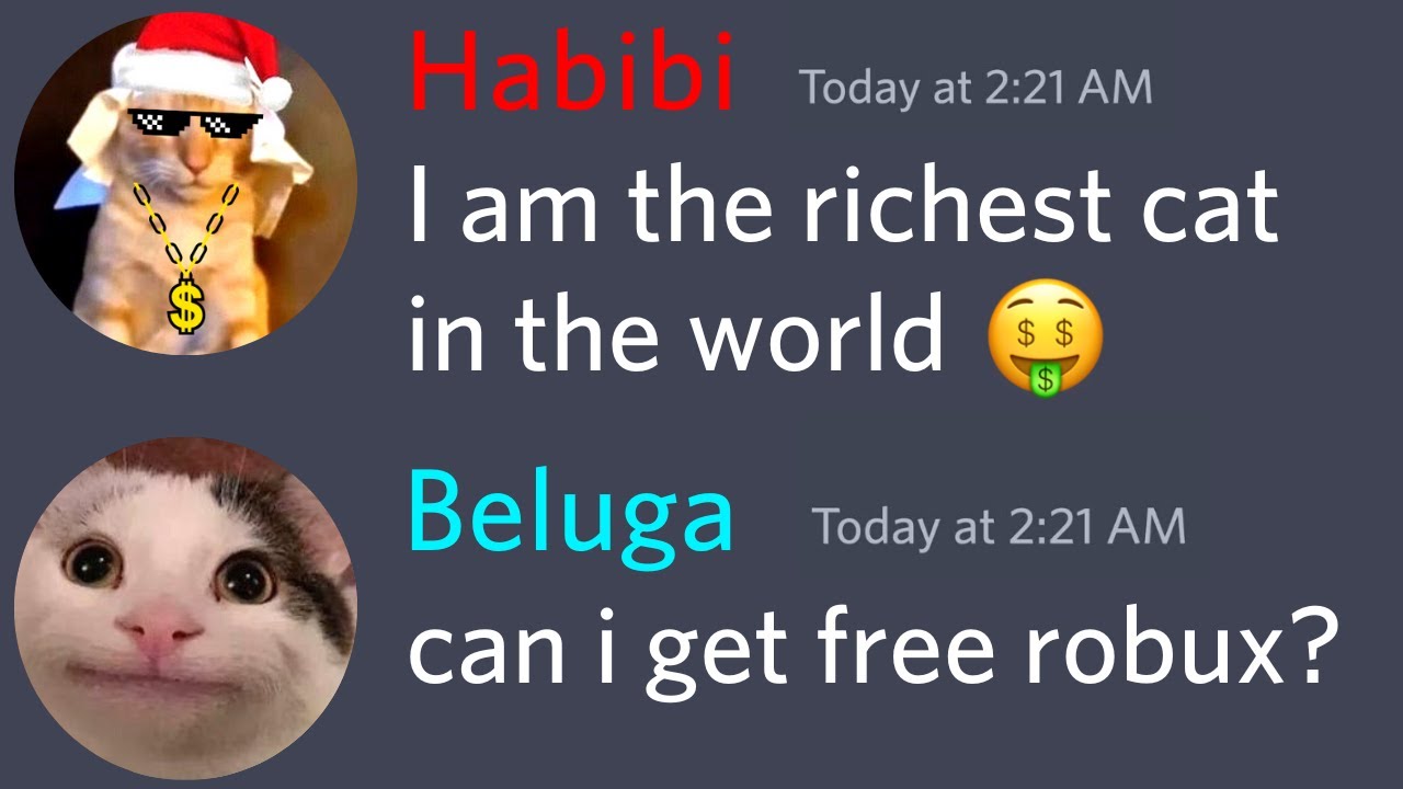 When Beluga Meets The Richest Cat 