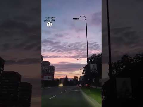 سراييفو الحب