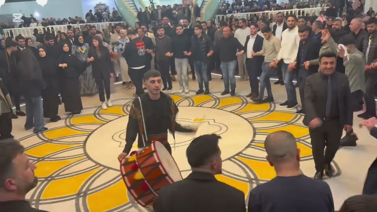 Hozan şerwan holanda