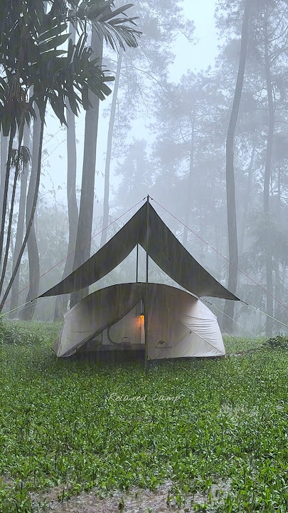 Brewing Hot Coffee while Heavy Rain! Solo camping in heavy rain #shorts #heavyraincamping