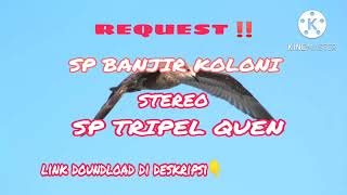 SP BANJIR KOLONI STEREO SP TRIPEL QUEN‼️