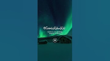 الله خالق كل شيء وهو على كل شيء وكيل | سورة الزمر | القارئ عمر الدريويز