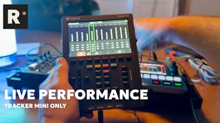 Live Performance | Polyend Tracker Mini | Rosenkranz