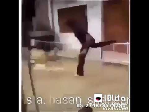 ههههه ده حلم ولا ايه