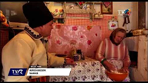Bulza: Cei 9 locuitori locuiesc n Timi dar ajung a...