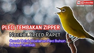 PLECI TEMBAKAN ZIPPER NGEROL SPEED RAPET||Cocok Untuk Masteran Pleci Bahan Belajar Nembak