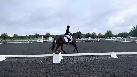 2022 USEF Novice Test A at Loch Moy [July 16, 2023]