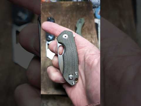 Small but Capable