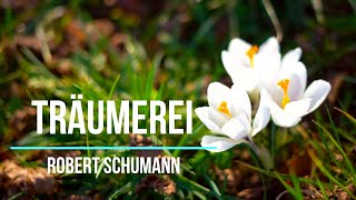 Schumann, Träumerei, Dreaming.  Шуман,  Грёзы