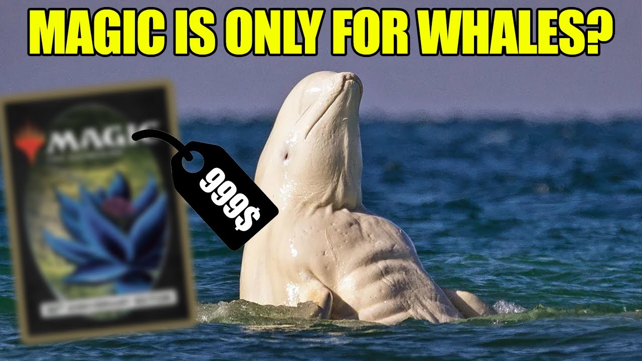 what-is-wotc-thinking-youtube