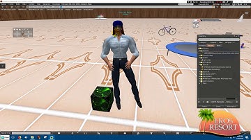Animation on a Prim for Opensim and Second LIfe