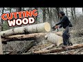 Making chips fly  mastering firewood cutting  adventures in the woodyard