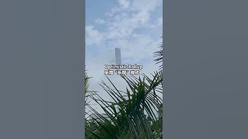 什么是 Rollup？ZK Rollup vs Optimistic Rollup #rollup #zkrollups #OPTIMISTICROLLUPS #区块链 #区块链交易 #solana