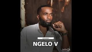 uNgelo-V uzifaka zonke kuDlubheke kulengoma 'umtalabho'