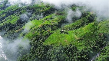 Đẹp như chốn bồng lai tiên cảnh - the beauty of Khuoi My Village