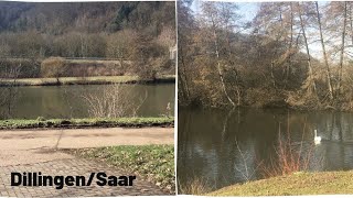 Mahalle Turu🚶🏼‍♀️| Saar Nehri🦢 Saarland Dillingen Manzaralı Sohbet