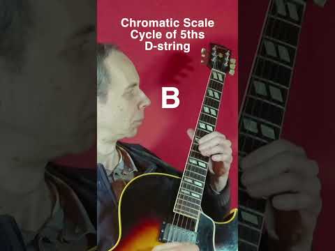 Chormatic scale through the cycle of 5ths on D-string #guitar  #guitarpractice  #jazz