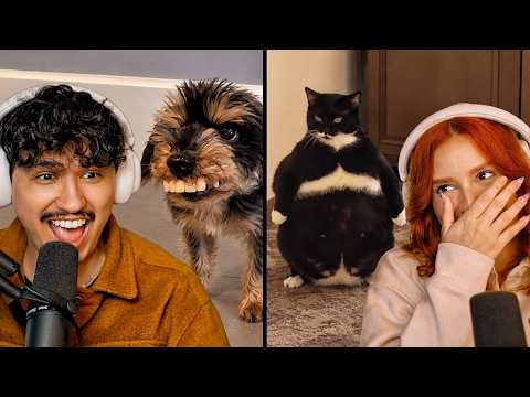 animais que APRONTARAM com os próprios donos | Fala Sério