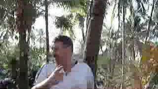 Download Lagu ASHRAM | When You Were Young MP3